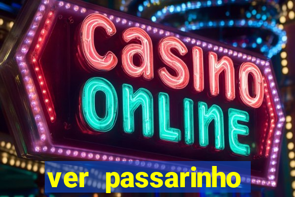 ver passarinho morto significado espiritual