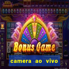 camera ao vivo porto de galinhas