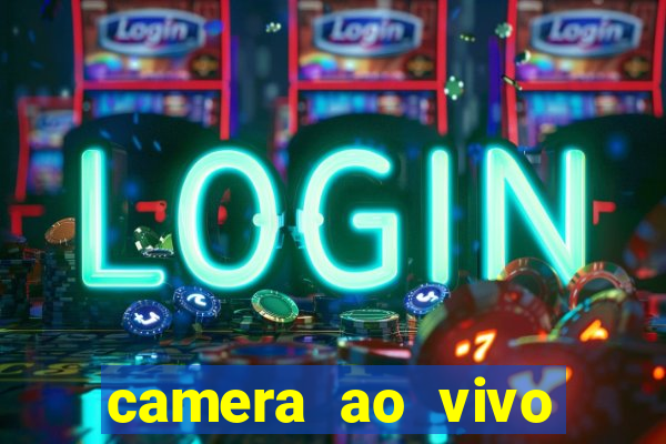 camera ao vivo porto de galinhas