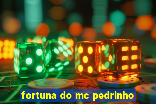 fortuna do mc pedrinho