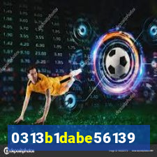 qin2023