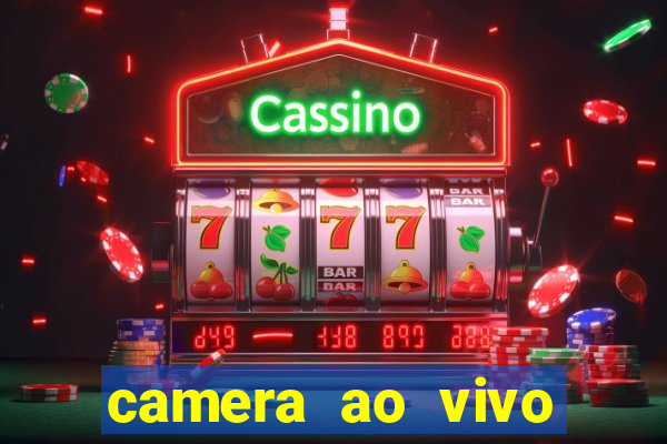 camera ao vivo beto carrero