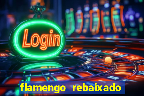 flamengo rebaixado em 1995