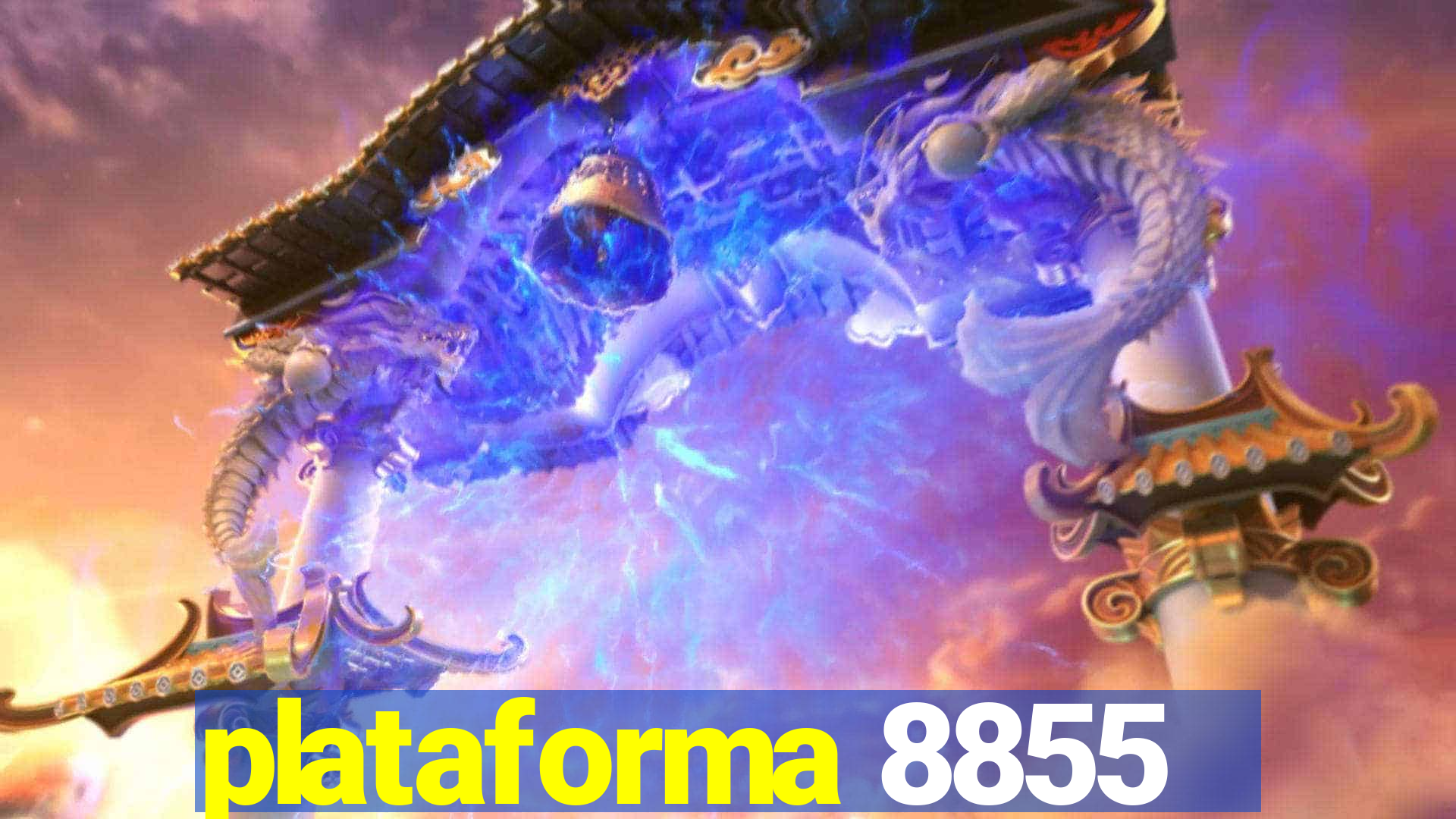 plataforma 8855