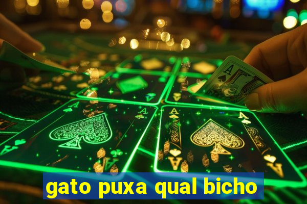 gato puxa qual bicho