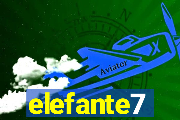 elefante7