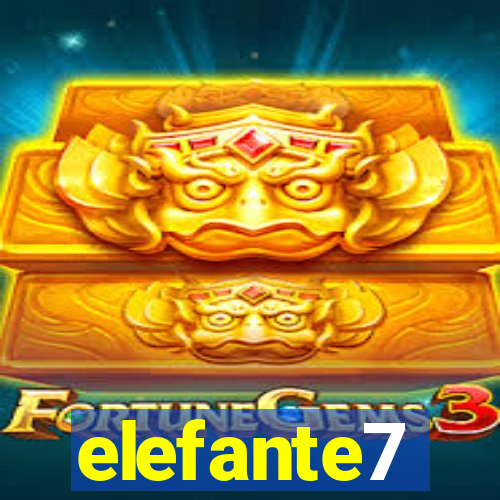 elefante7