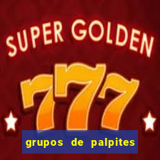 grupos de palpites de futebol whatsapp