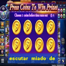 escutar miado de gato o que significa