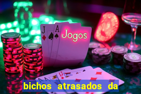 bichos atrasados da loteria federal