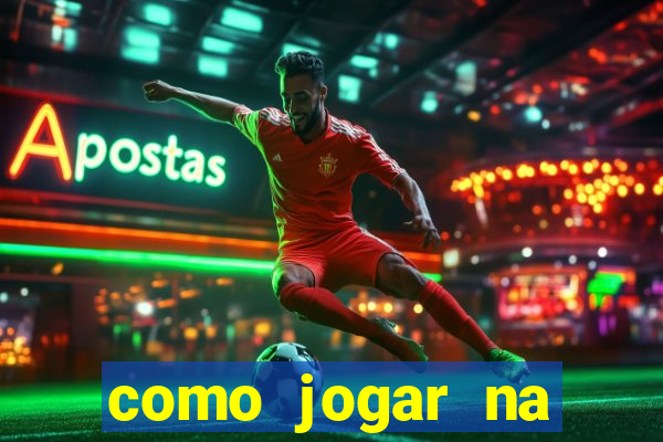 como jogar na lotinha do jogo do bicho
