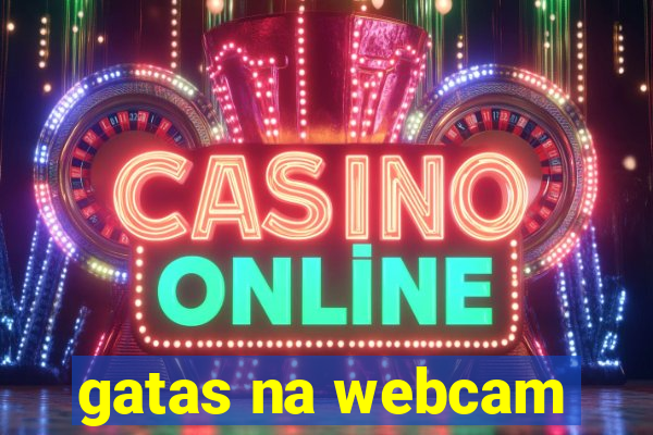 gatas na webcam