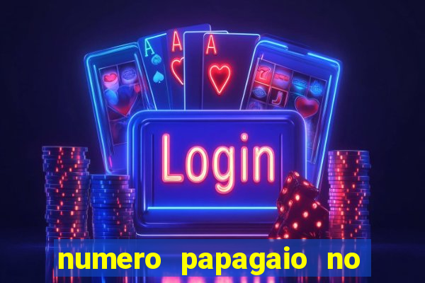 numero papagaio no jogo do bicho