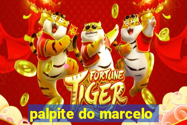 palpite do marcelo