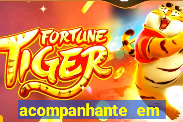 acompanhante em porto velho