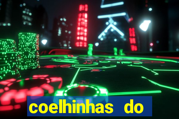 coelhinhas do brasil recife