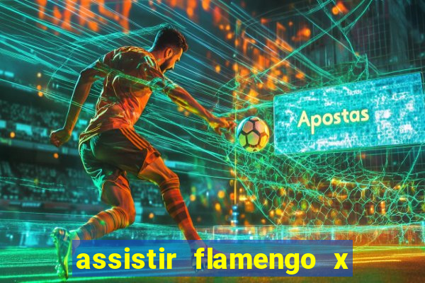 assistir flamengo x bahia multicanais