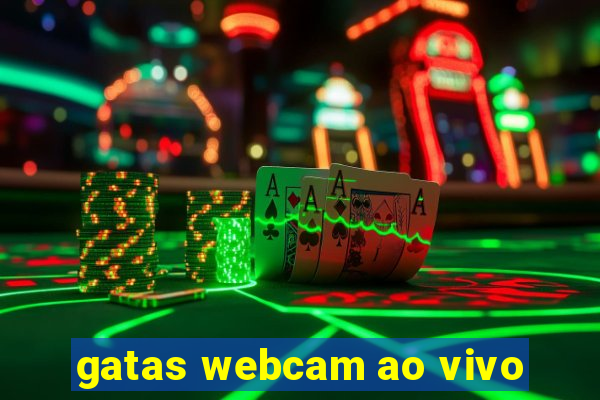 gatas webcam ao vivo