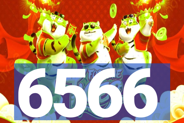 6566