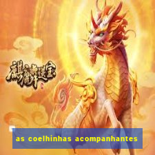 as coelhinhas acompanhantes