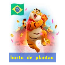 horto de plantas em salvador bahia