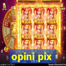 opini pix