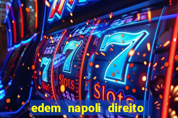 edem napoli direito constitucional pdf