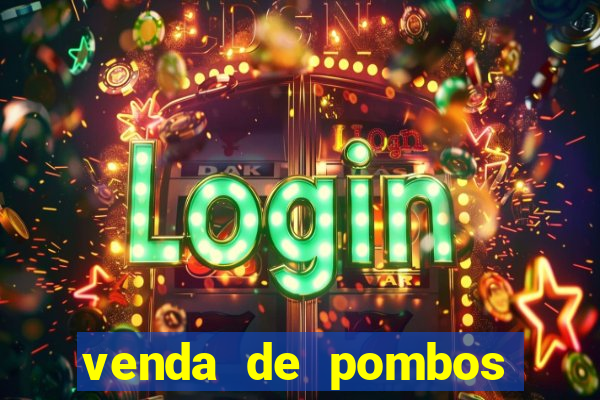 venda de pombos correios olx