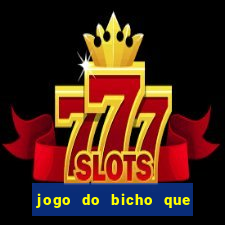 jogo do bicho que paga no pix