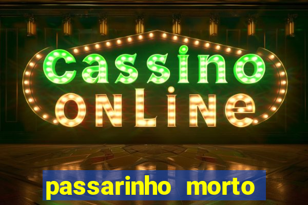 passarinho morto significado espiritual
