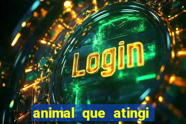 animal que atingi 230 decibeis