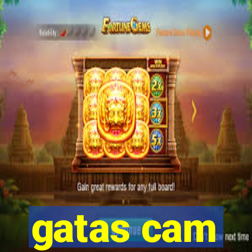 gatas cam