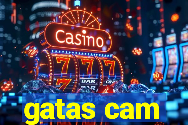 gatas cam