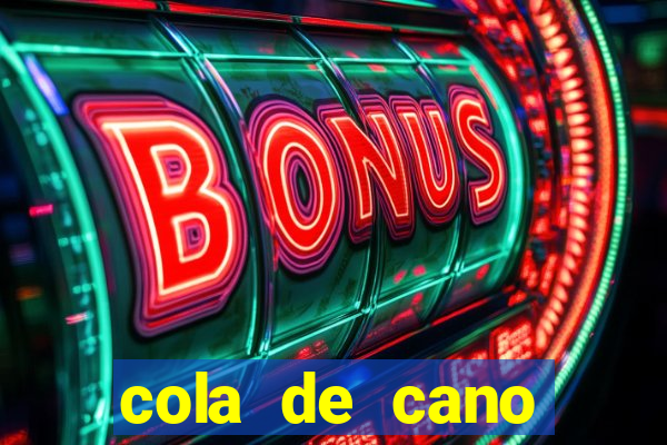 cola de cano quanto tempo para secar
