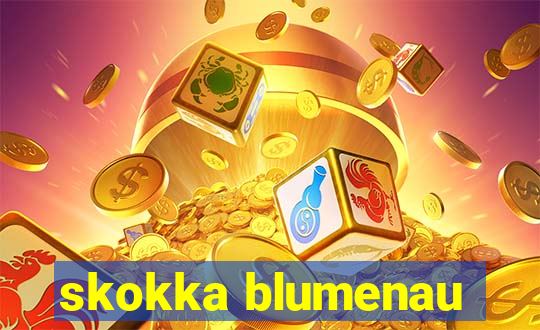 skokka blumenau