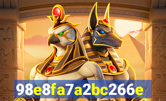 zzzz bet plataforma