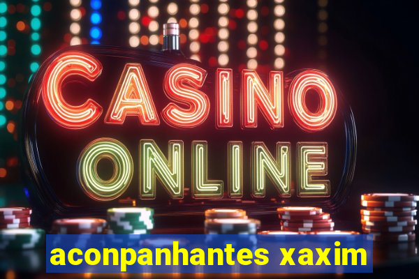 aconpanhantes xaxim