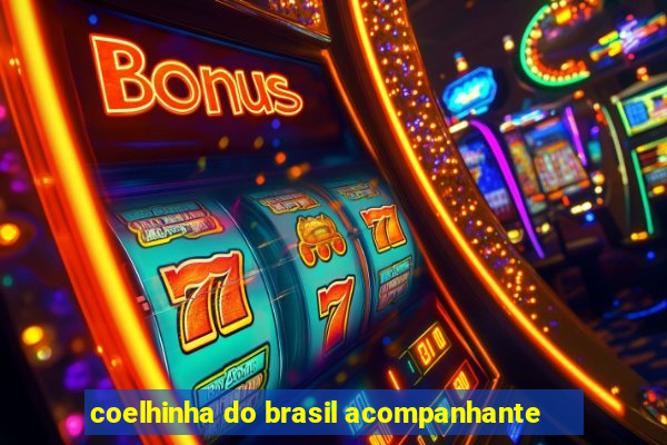 coelhinha do brasil acompanhante