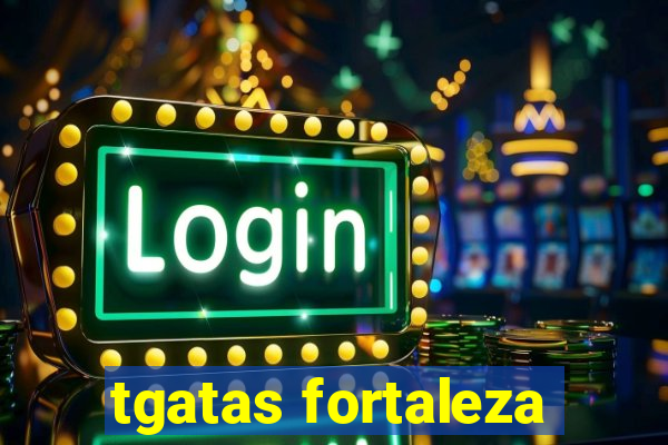 tgatas fortaleza