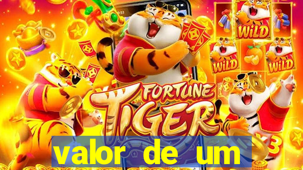 valor de um container usado