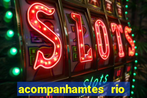acompanhamtes rio de janeiro
