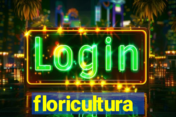 floricultura juazeiro bahia