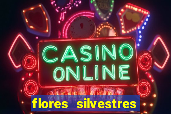 flores silvestres desbravadores desbravadores 25
