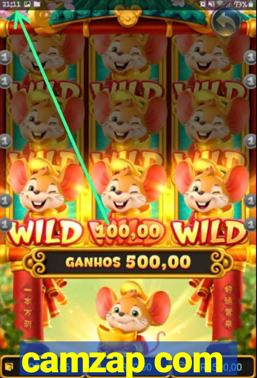 camzap com