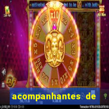 acompanhantes de juiz de fora