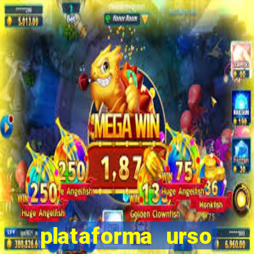 plataforma urso polar 777