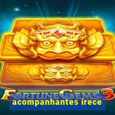 acompanhantes irece