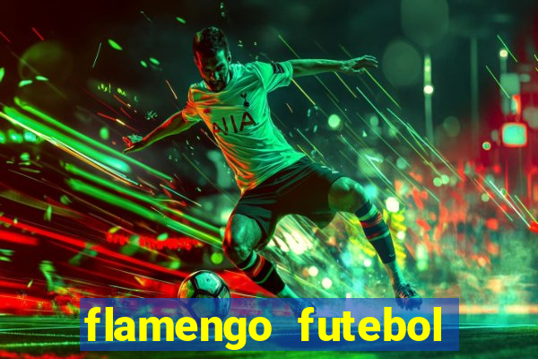 flamengo futebol play hd
