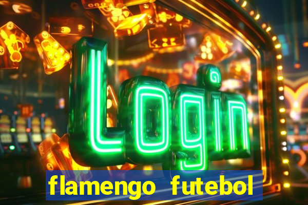 flamengo futebol play hd