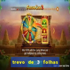 trevo de 3 folhas significado espiritual